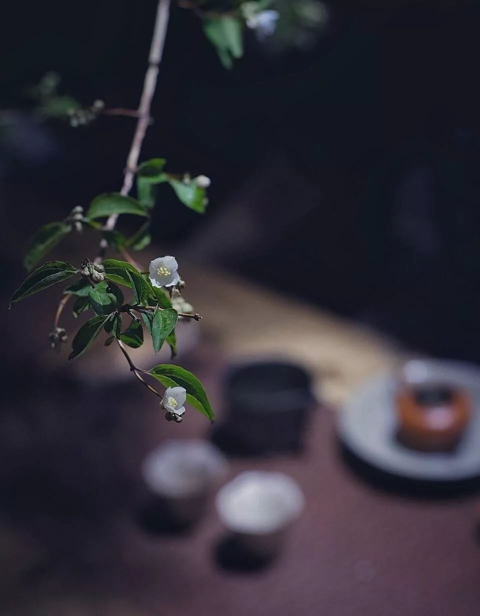 有間茶室，真好！