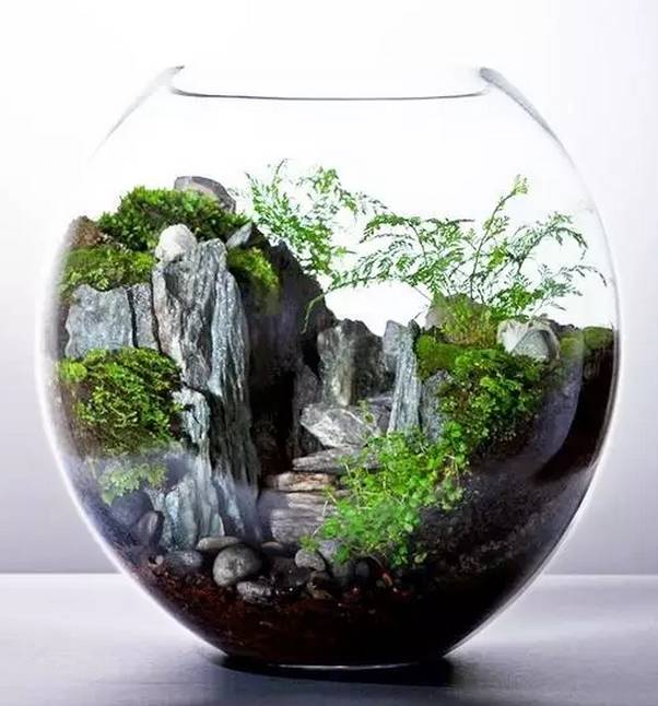 創(chuàng)意家居丨你以為只有陽(yáng)臺(tái)能養(yǎng)花？這樣養(yǎng)花才有創(chuàng)意~