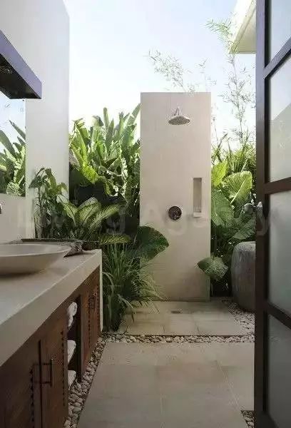 衛(wèi)生間也可以像花園一樣生機盎然！