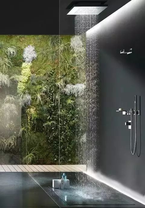 衛(wèi)生間也可以像花園一樣生機盎然！