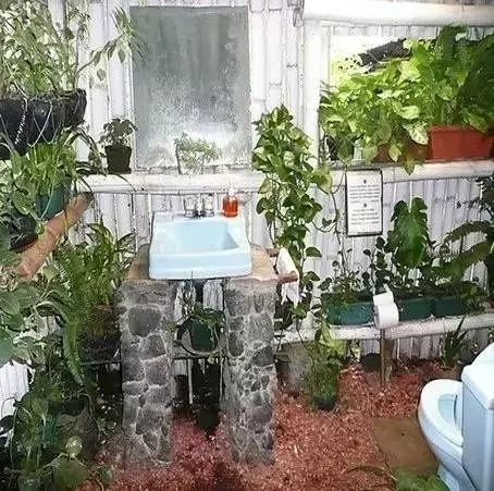 衛(wèi)生間也可以像花園一樣生機盎然！