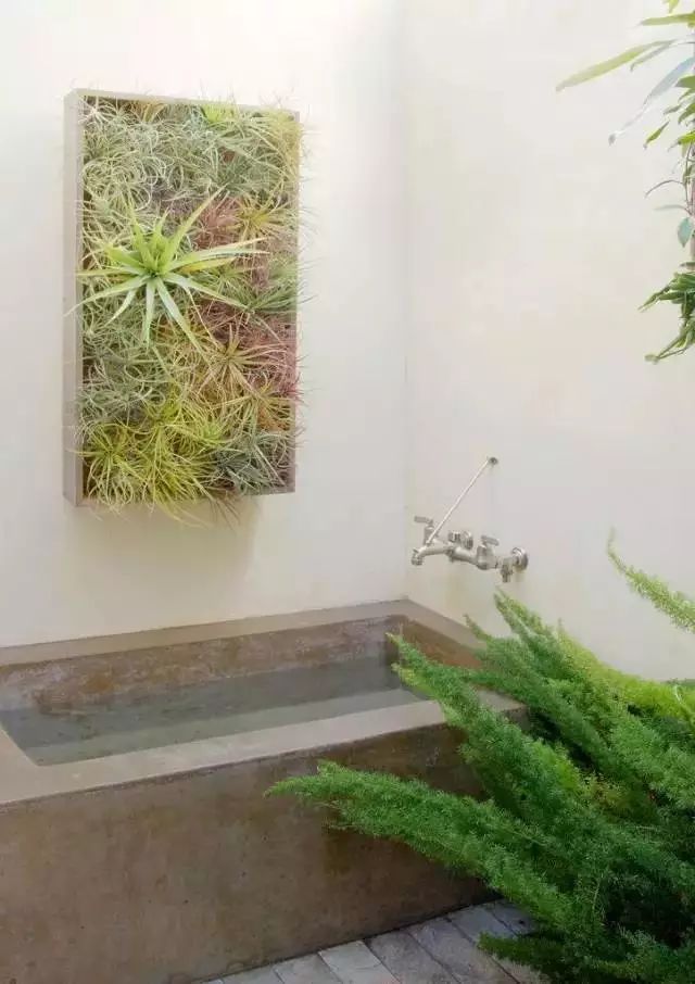 衛(wèi)生間也可以像花園一樣生機盎然！