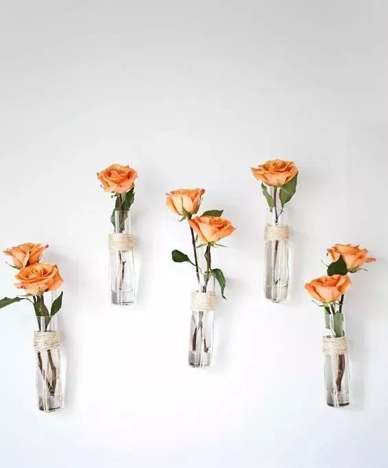 那些你可能不知道的，鮮花家居美學(xué)
