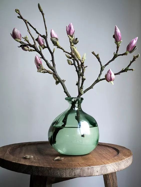 那些你可能不知道的，鮮花家居美學(xué)