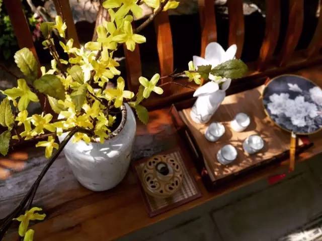 春風(fēng)十里，不如一個院子。