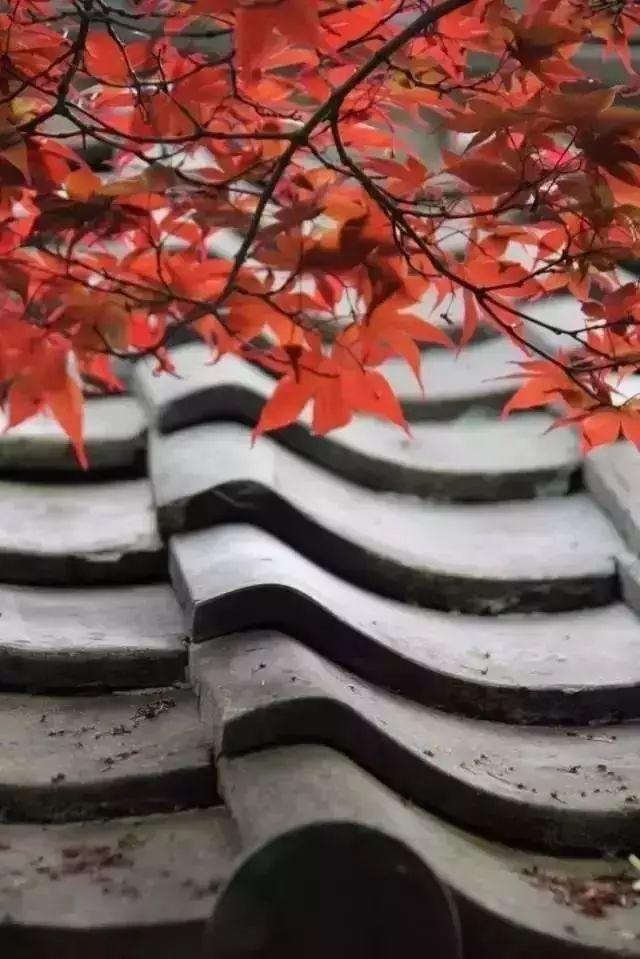 當瓦片碰上設(shè)計師。