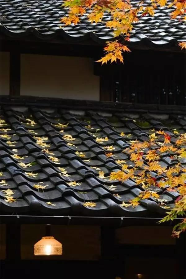 當瓦片碰上設(shè)計師。