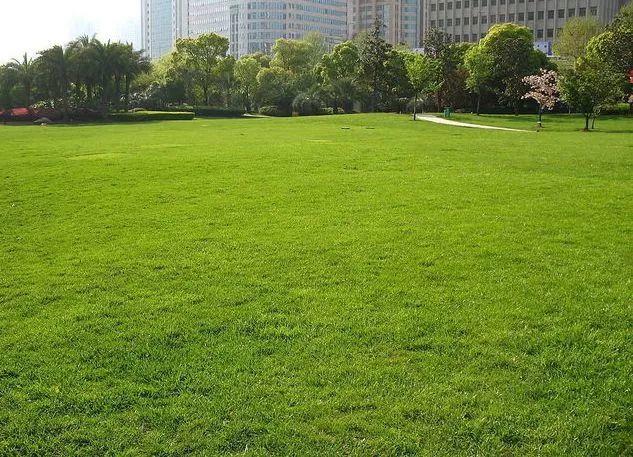 微園林|景觀植物綠化設(shè)計(jì)方法 微園林|景觀植物綠化設(shè)計(jì)方法
