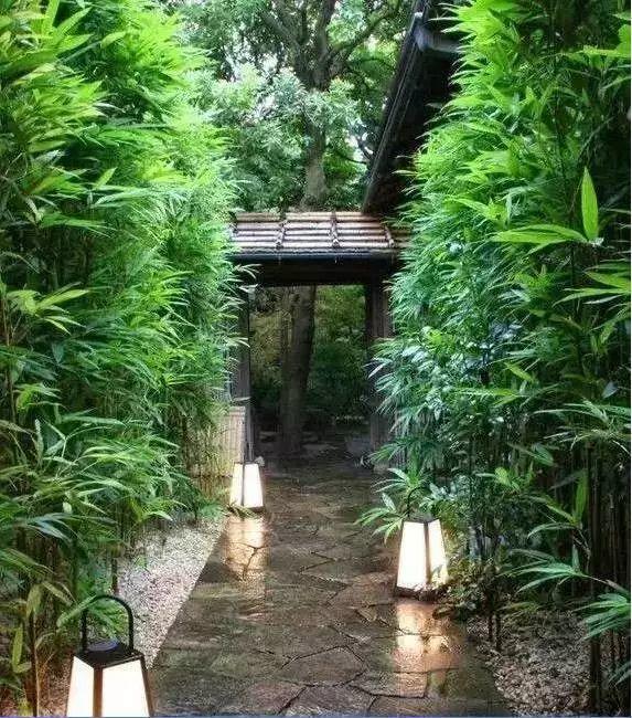 微園林|景觀植物綠化設(shè)計(jì)方法 微園林|景觀植物綠化設(shè)計(jì)方法