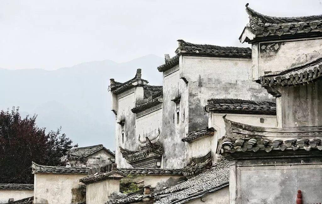微園林|中國墻 · 無墻，則無家