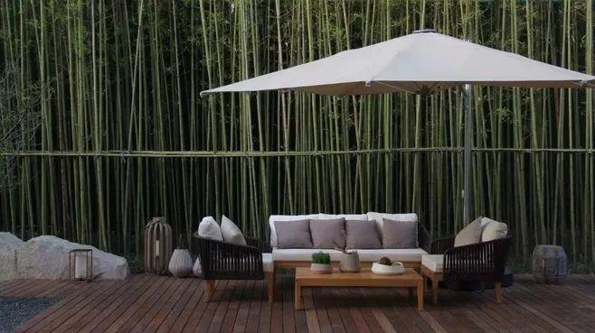 微園林|景觀植物綠化設(shè)計(jì)方法 微園林|景觀植物綠化設(shè)計(jì)方法