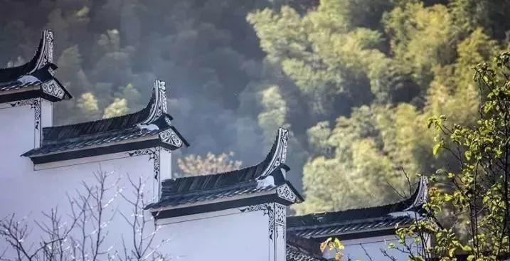 微園林|中國墻 · 無墻，則無家