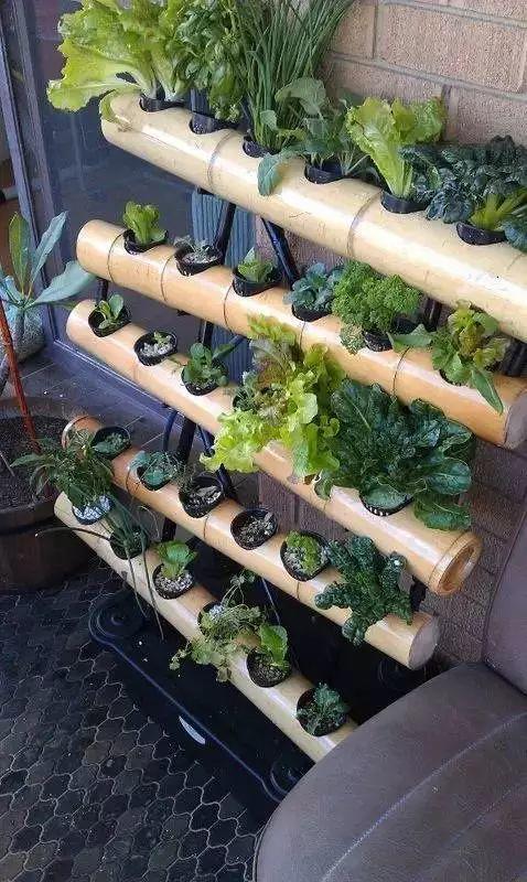 花花世界|居家打造精致小花園的8種方法！