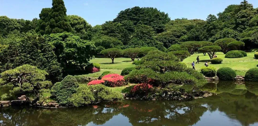 微園林|景觀植物綠化設(shè)計(jì)方法 微園林|景觀植物綠化設(shè)計(jì)方法