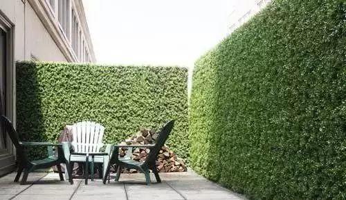 微園林|景觀植物綠化設(shè)計(jì)方法 微園林|景觀植物綠化設(shè)計(jì)方法