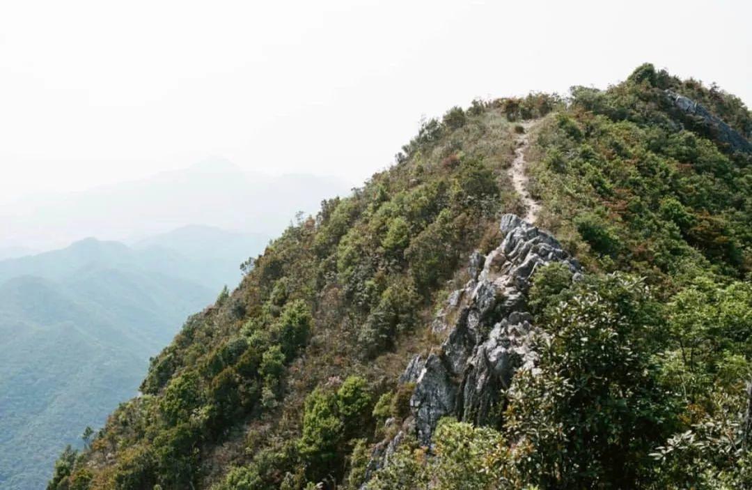 假期攻略|國內(nèi)版“鐮倉”，私藏中國美麗海岸真好看！