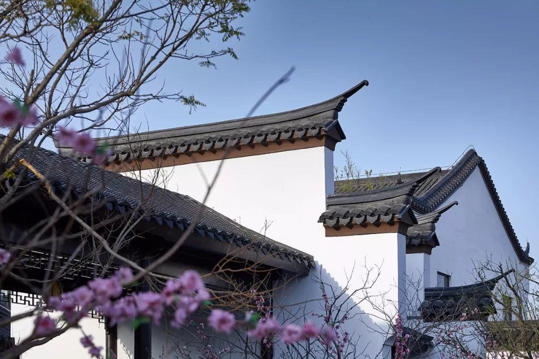 家裝小課堂|驚艷世界的中式庭院，美哭了！