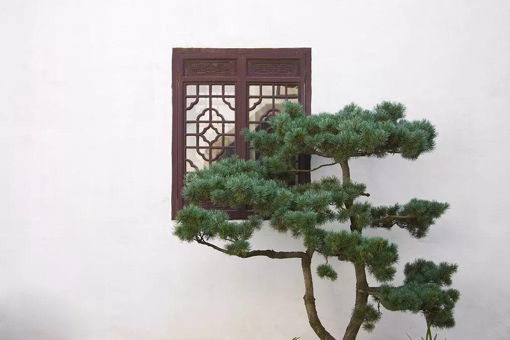 家裝小課堂|驚艷世界的中式庭院，美哭了！
