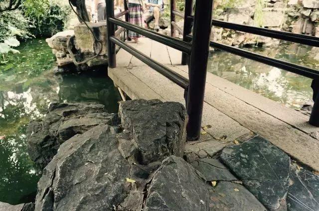 微園林|無(wú)橋不成園，有橋景更幽