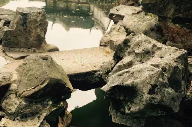 微園林|無(wú)橋不成園，有橋景更幽