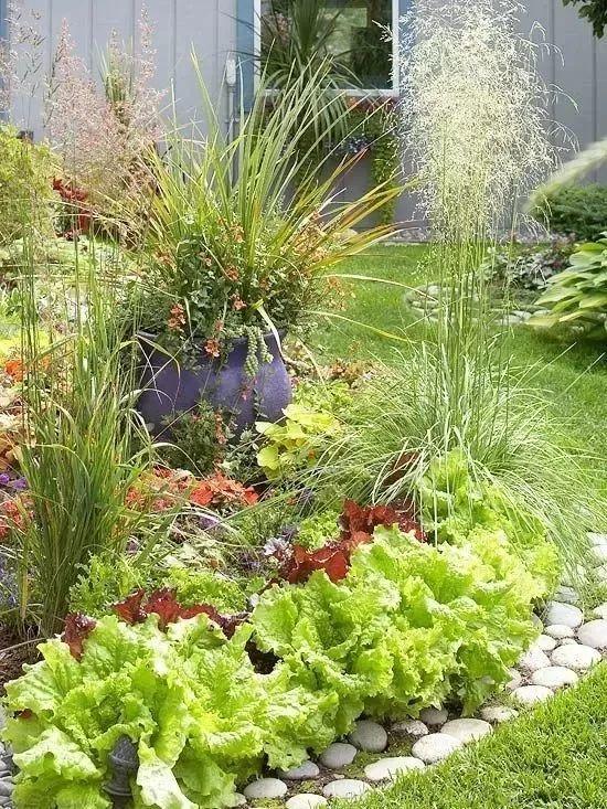 微園林|可食地景 · 花園式菜園的設(shè)計(jì)妙招 微園林|可食地景 · 花園式菜園的設(shè)計(jì)妙招
