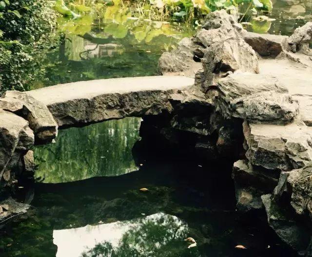 微園林|無(wú)橋不成園，有橋景更幽