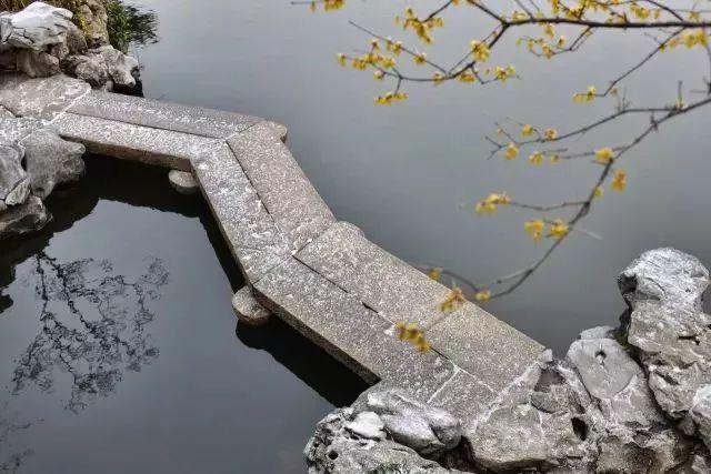 微園林|無(wú)橋不成園，有橋景更幽