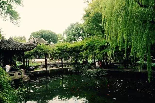 微園林|無(wú)橋不成園，有橋景更幽