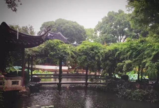 微園林|無(wú)橋不成園，有橋景更幽