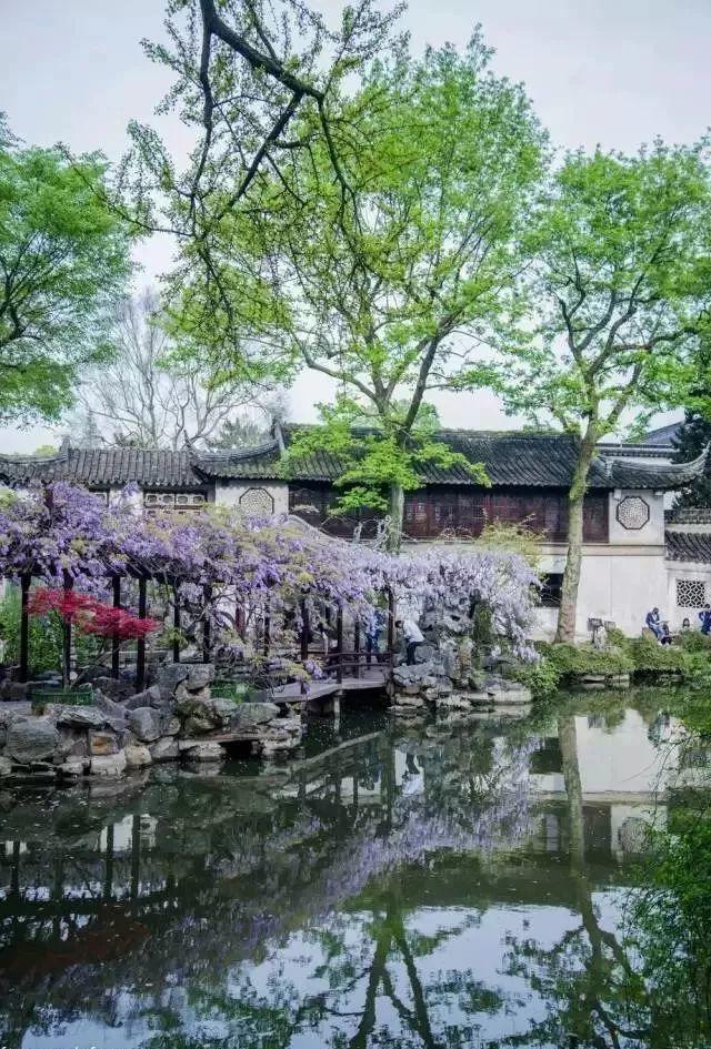 微園林|無(wú)橋不成園，有橋景更幽