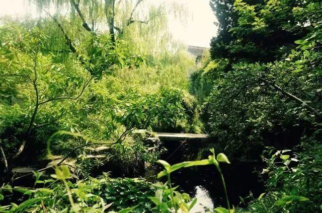 微園林|無(wú)橋不成園，有橋景更幽