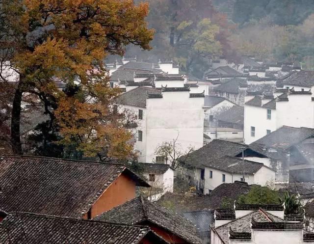 新視野|中國古建筑驚艷世界的美！