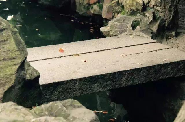 微園林|無(wú)橋不成園，有橋景更幽