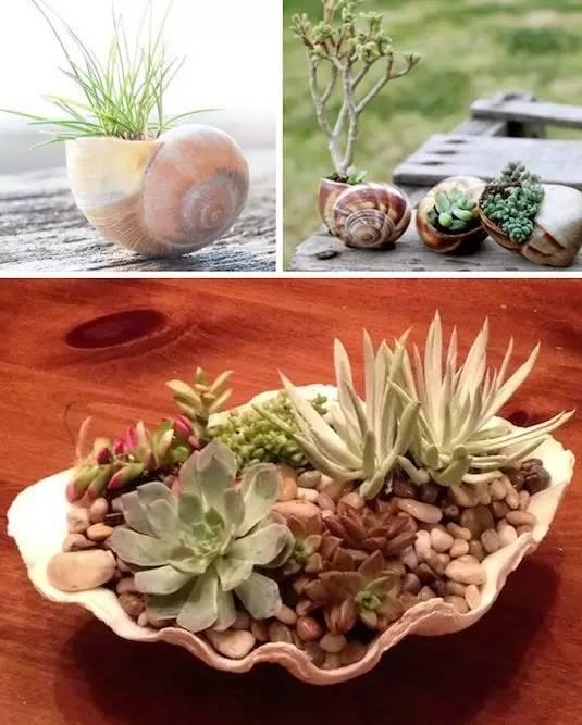 花花世界|全世界都阻止不了，一顆熱愛花草的心