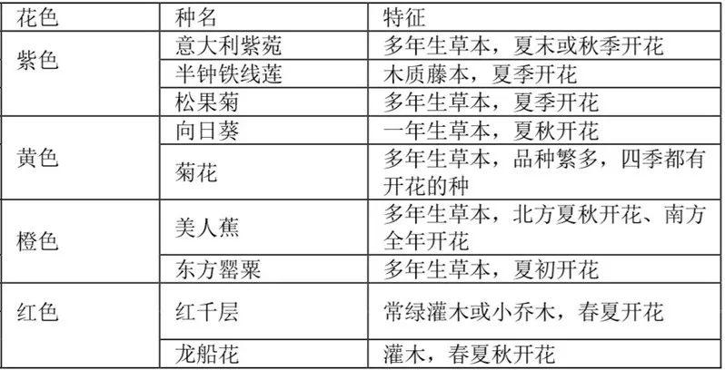 微園林|花鏡設(shè)計(jì)