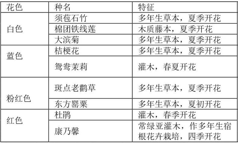微園林|花鏡設(shè)計(jì)
