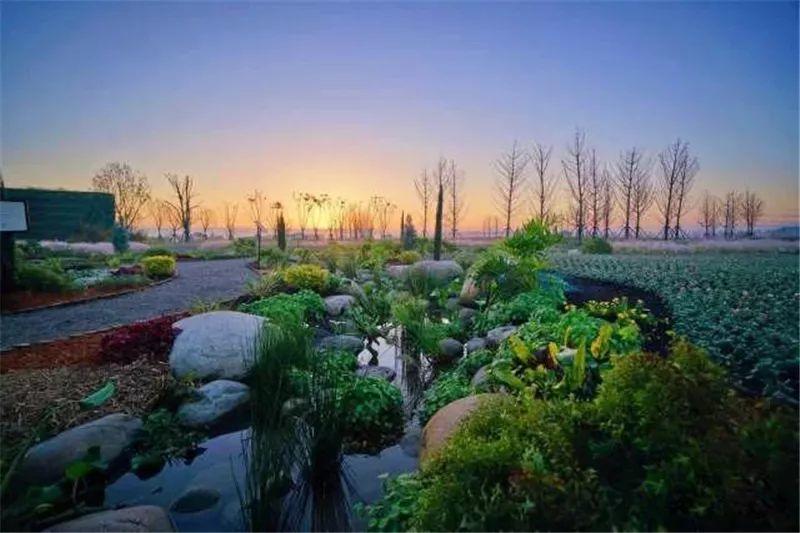 微園林|花鏡設(shè)計(jì)