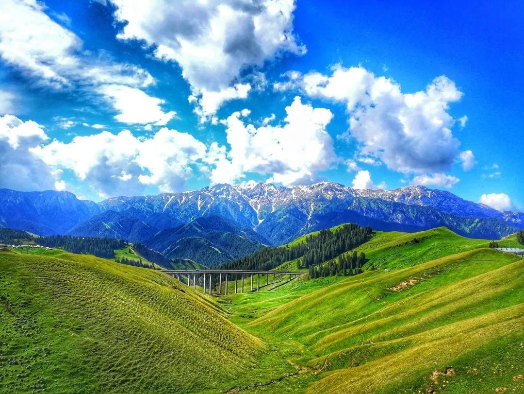 假期攻略|伊犁60000畝薰衣草，花開成海，美哭全世界
