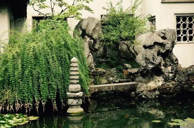 微園林|無(wú)橋不成園，有橋景更幽
