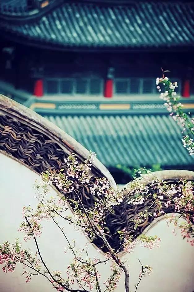 新視野|中國古建筑驚艷世界的美！