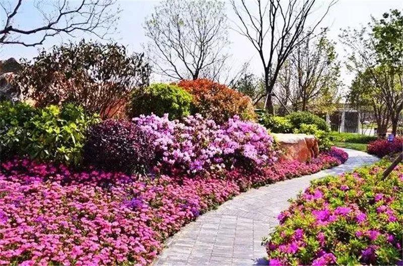 微園林|花鏡設(shè)計(jì)