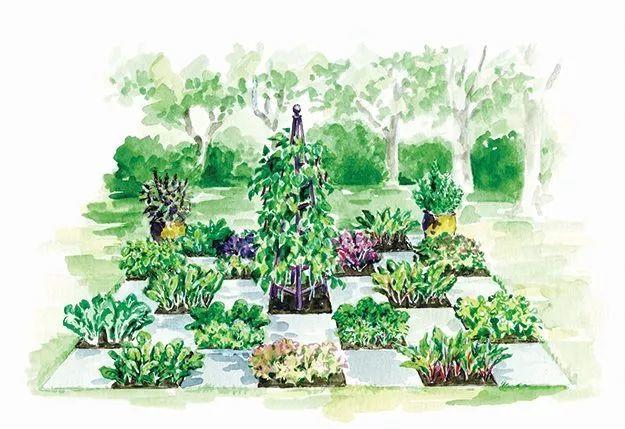 微園林|可食地景 · 花園式菜園的設(shè)計(jì)妙招 微園林|可食地景 · 花園式菜園的設(shè)計(jì)妙招