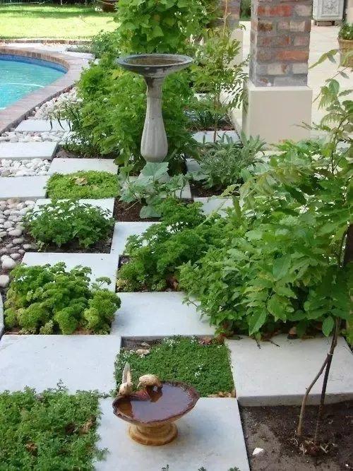 微園林|可食地景 · 花園式菜園的設(shè)計(jì)妙招 微園林|可食地景 · 花園式菜園的設(shè)計(jì)妙招