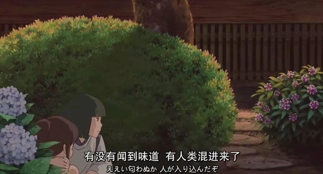 花花世界|從神劇“千與千尋”看植物配置與建筑！
