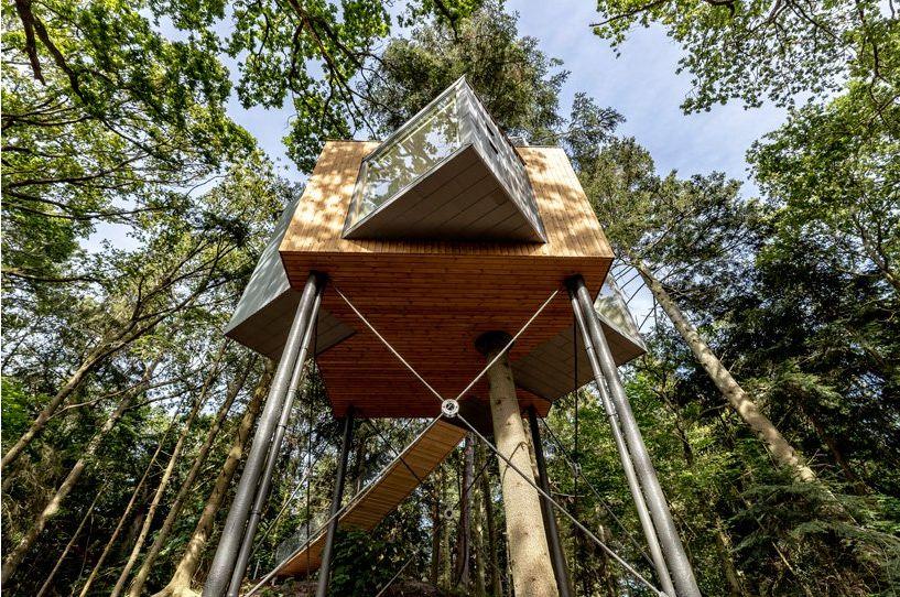 他在樹上建造的木屋，360度采光，一點也不“土”