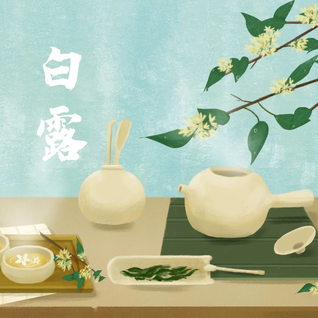 今日白露|露從今夜白，涼自此時(shí)生