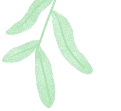 今日白露|露從今夜白，涼自此時(shí)生