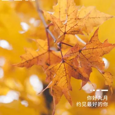 九月你好 | 不負(fù)時光，與你共享美好清秋