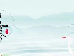 今日白露  | 清風白露，愿歲月無憂