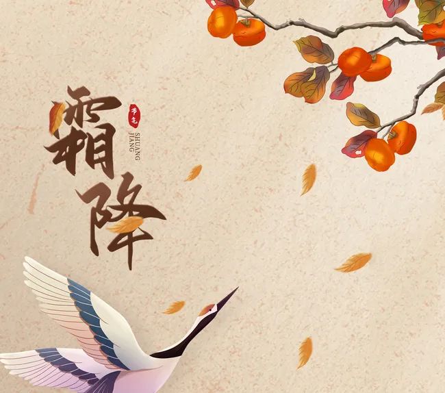 今日霜降 | 人間至此秋色盡，草木搖落露凝霜